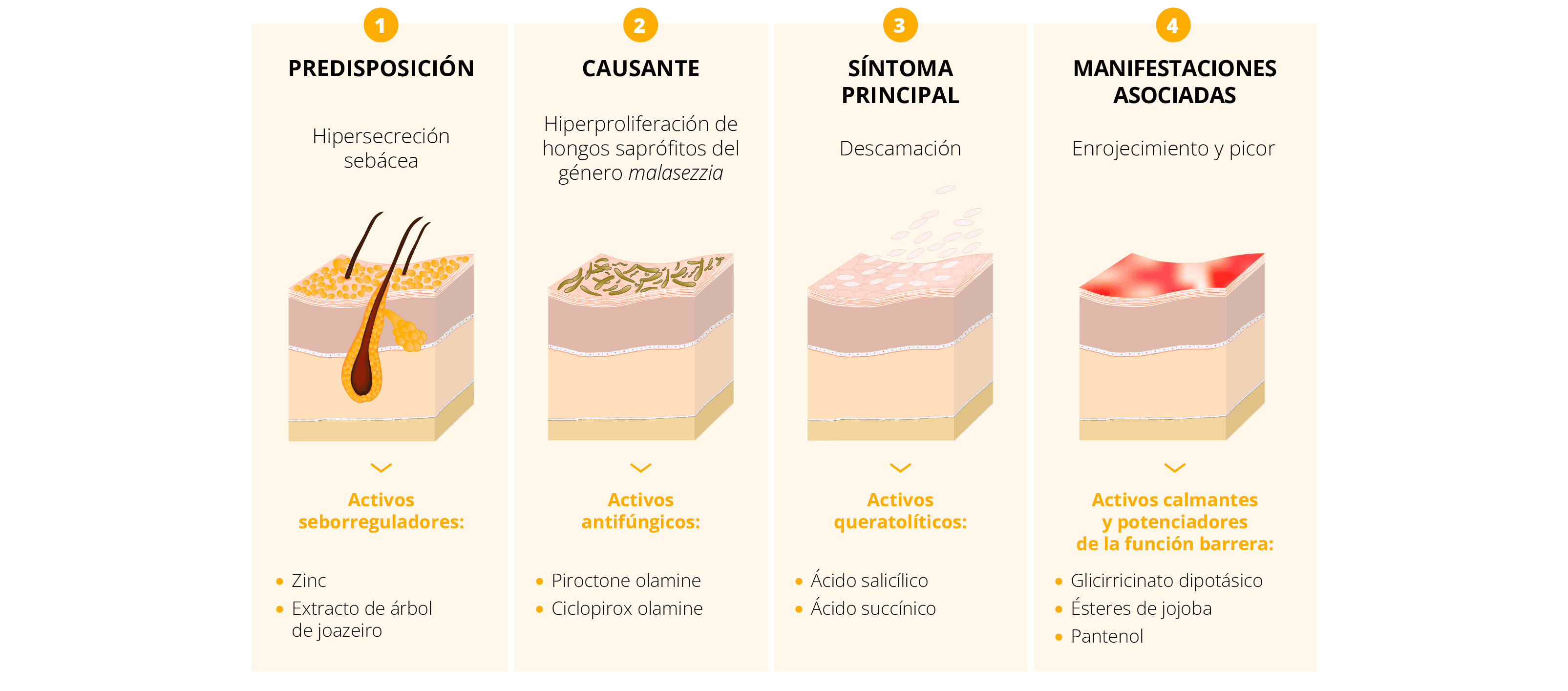 Esquema Dsebium