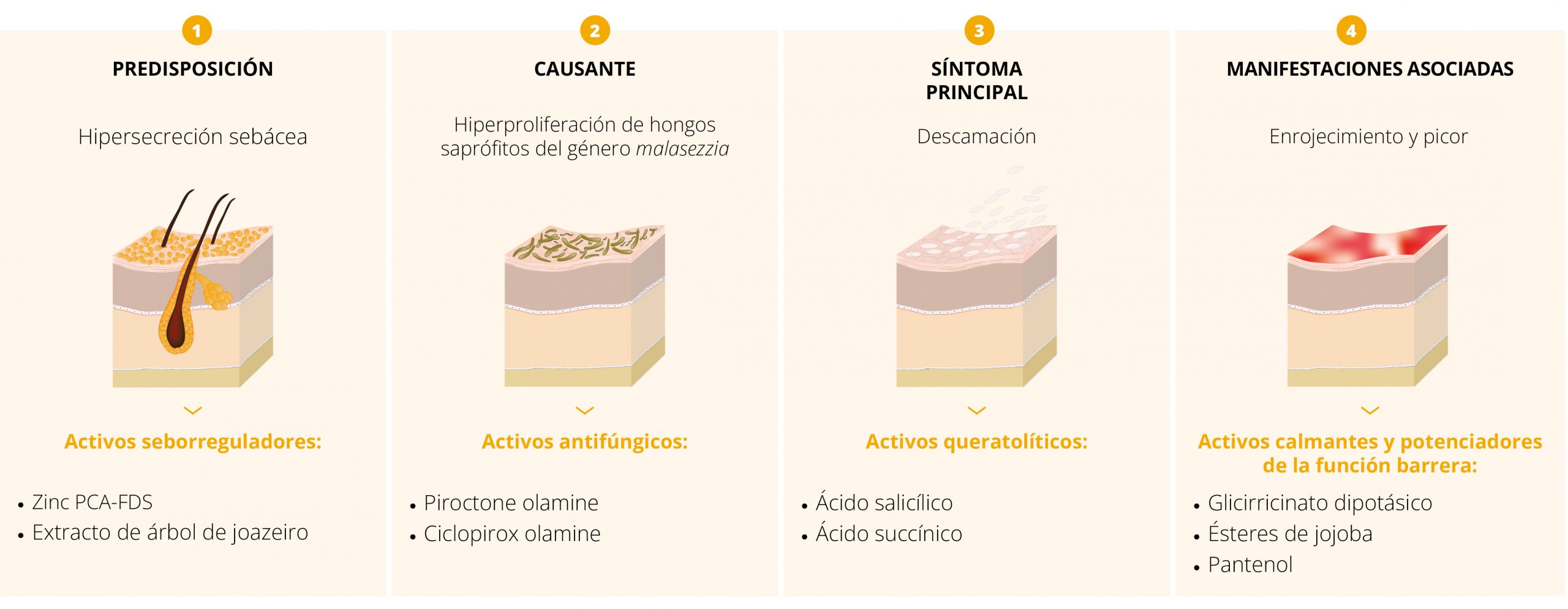 Esquema Dsebium