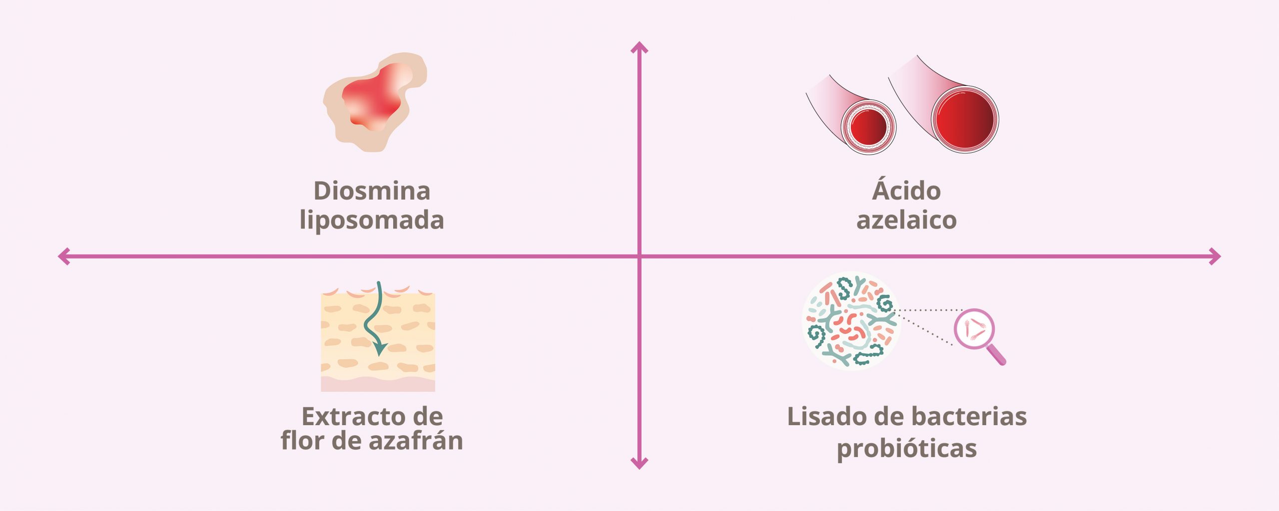 Esquema Rosacea